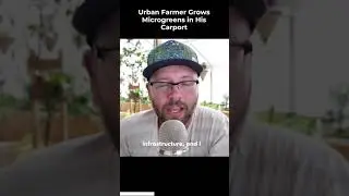 DIY And Cheap Microgreens Setup #SHORTS