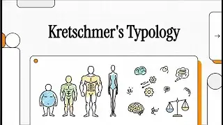Kretschmer's Typology Theory of Personality