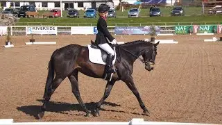 Cricklands Dressage Winter League Finals { Featuring Jazz! }