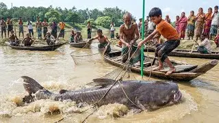 Fishing video big fish /catch fishing video  River fishing /536/2026