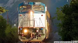 AMTRAK 503 on Surfliners! AMAZING K5LA HORN! (August 2024)