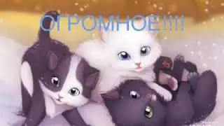 СПАСИБО за 10 подписчиков!!!!!