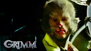 Nick Fights with An Alley Cat Creature |  Grimm