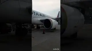 PERTAMA KALI MENCOBA NAIK PESAWAT PELITA AIRLINES INDONESIA