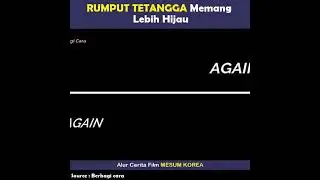 alur cerita film mesum korea 