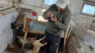 Как Дымка справляется?? Спасаем слепого.