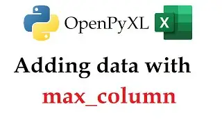 Find the Last Column and Add Data Automatically with OpenPyXL