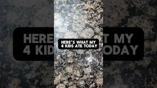 HERE IS WHAT MY 4 KIDS ATE TODAY…