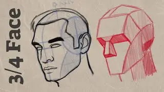 How to Draw 3/4 Face LOOMIS Method | Cintiq 16