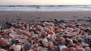 Дикий пляж | В Massa Marittima никого 🤷🏼‍♀️🤔