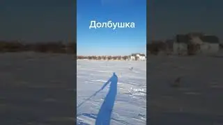 Долбушка