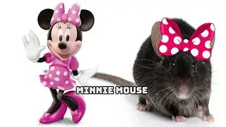 Mickey Mouse Characters In Real Life | Puperkuss