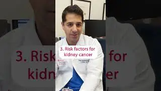 Top 5 Facts to Know About Kidney Cancer with Dr. Saum Ghodoussipour