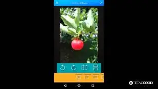 Mais de 100 FILTROS para FOTOS - Android