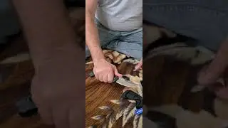 BENCHMADE 860 BEDLAM  обманутые ожидания...