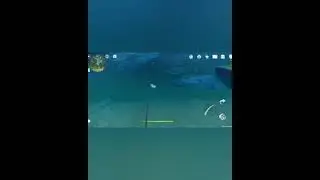 Fishing in FPP mode😶|Genshin Impact| 