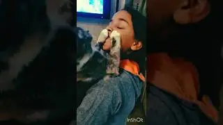meet estella  the cat,our kids found her on the streets abandoned.