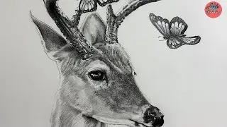 Realistic deer face drawing with pencil only in 7 minutes | Real deer drawing challenge