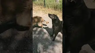 Я их раньше очень боялась