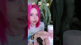 #ingaschulz