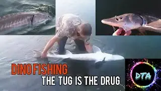 How To Catch Sturgeon |STEP 1 |