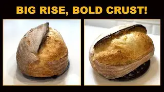 Crusty High-Spring Sourdough Loaf | Step-by-Step Tutorial