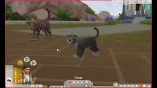 Симс 4, Кошка пошла рожать!