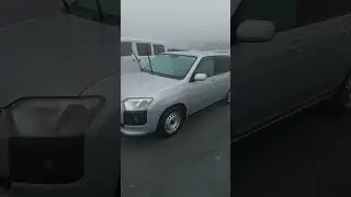 Toyota Succeed 2019 г
