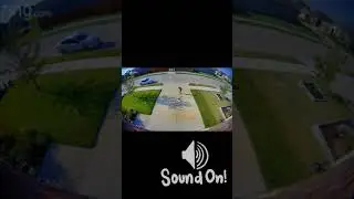 Security camera catches little girl taking a tumble off her scooter!