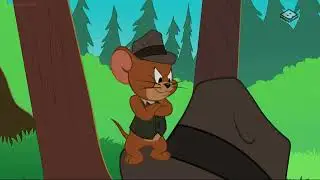 The Tom and Jerry Show   Wild goose chase