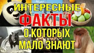 Интересные факты о которых мало знают