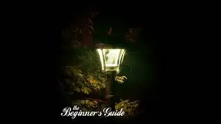 The Beginner's Guide  -  Va Cover