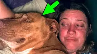 The family woke up because someone jumped on the bed, even though they were alone in the house!