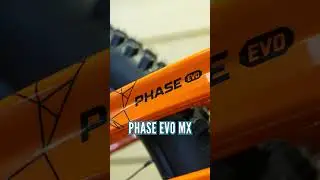 Bright Bikes On The Orange Stand 🍊