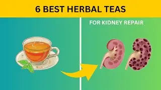 Renew & Revitalize: 6 Herbal Teas for Optimal Kidney Health