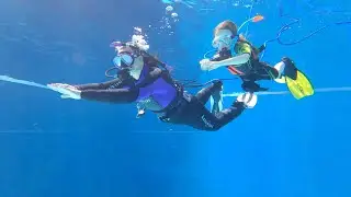 STEPDive Presents: Flutter Kick and Buddy Formation