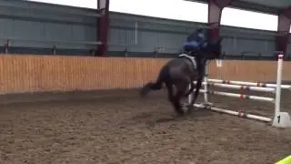 P&J 29/1-17, 1m felfritt