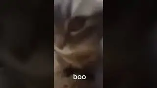 jumpscare