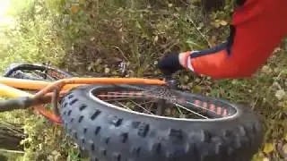 Грибной фрирайд на фэтбайке Mongoose Argus Sport freeride forest