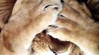 Neverwinter online Супер Статы в М16!!!(уберите  детей , от вас могут услышать маты)