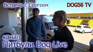 Знакомство с блогером Сергеем Питбули Dog Live