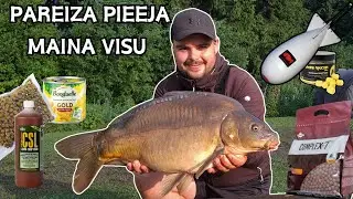 Noslēpums atklāts - ar pareizu pieeju karpas ķerās viena pēc otras! Divu dienu karpu cope (2. daļa)!
