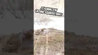 The Classic #17Remington on a Columbian Ground Squirrel hunt! The little 25 grain bullet hits hard!