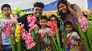 പ്ലാസ്റ്റിക് ഫ്ലവറിന്റെ വമ്പൻ ഓഫർ  plastic flower