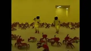 😁😃backroom mu yengeçler basarsa ne olur ...Dans Olur🤣🤣 waka waka🤣🤣