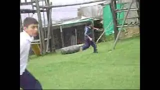 PARKOUR EN EL ARCA