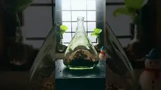 Making bottle aquarium