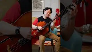 🚨sample pack OUT🎉 20 plucked cello loops/riffs (link in channel!) 