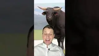 Порвал …