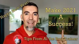 Creating a Personal Daily Dog Training Habit - Make 2021 A Success!